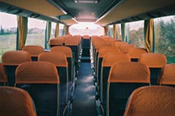 bus-image